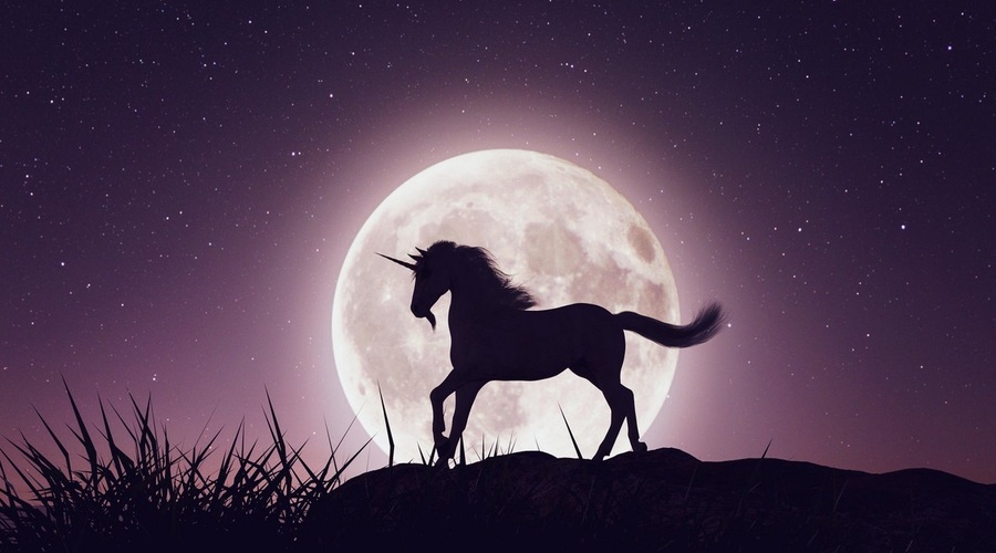 Test: Katera LUNA ste vi? (foto: profimedia)