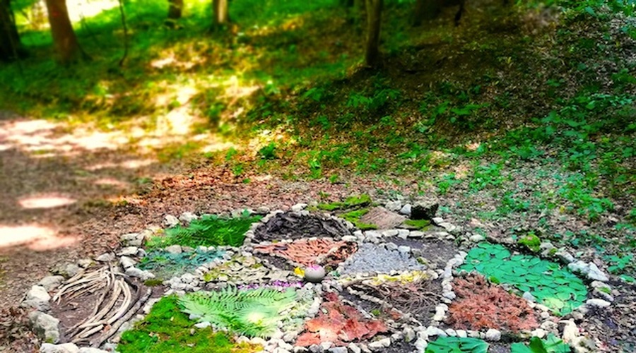 Vabljeni na kreativni ženski krog: OKUS po DIVJEM (foto: dilight.si)
