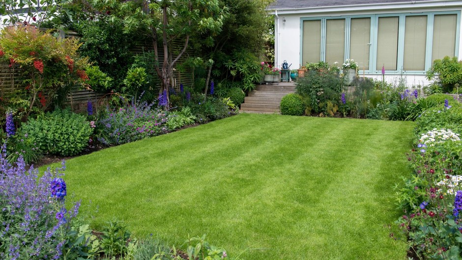 Ste vedeli, da trata na vašem dvorišču lahko škodi okolju? (foto: Profimedia)