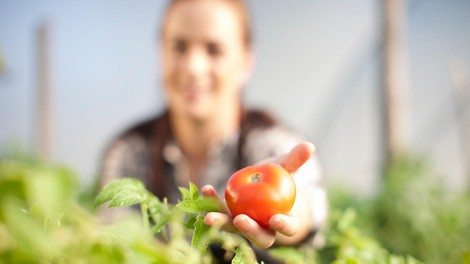 Kako nas sodobno kmetijstvo oropa kvalitetne prehrane?