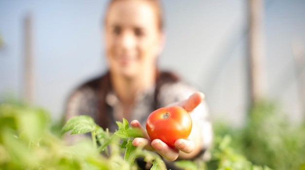 Kako nas sodobno kmetijstvo oropa kvalitetne prehrane? (foto: Profimedia)