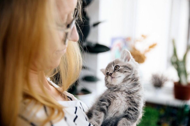 Kdor je alergičen na mačjo dlako, je v resnici alergičen na to, kar mačka predstavlja (foto: profimedia)