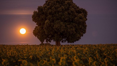 Prihaja julijska super polna luna