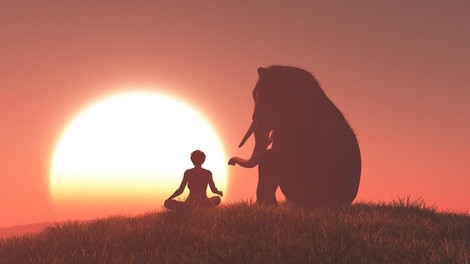 Navdihujoča zgodba o slonu, ki daje upanje (Jorge Bucay)