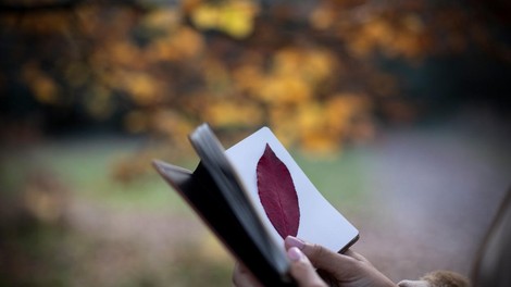 Si želite rešiti svoje težave? Za začetek si jih ZAPIŠITE