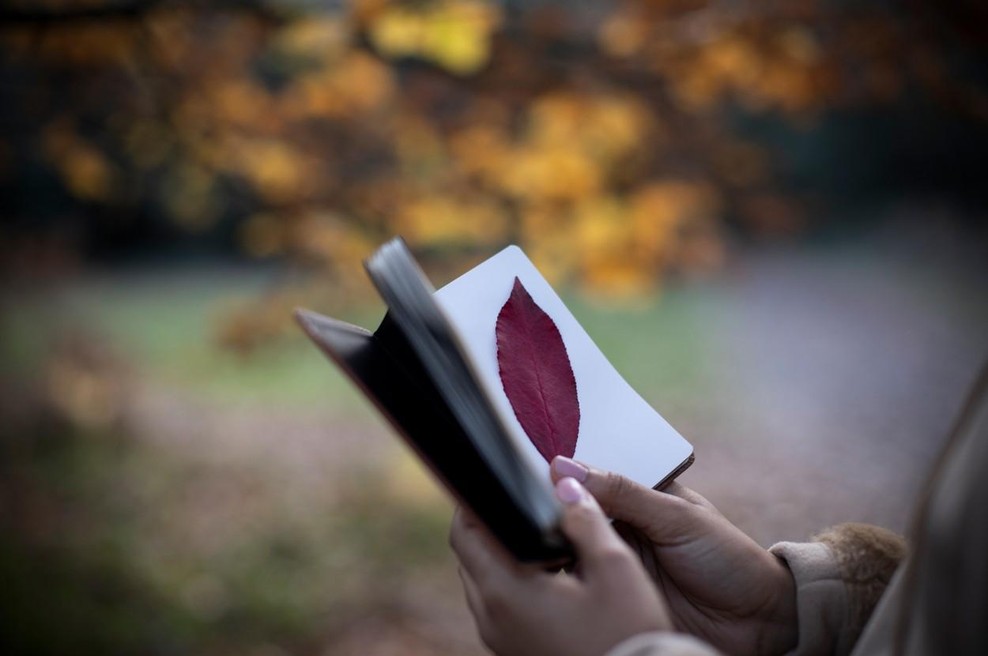 Si želite rešiti svoje težave? Za začetek si jih ZAPIŠITE (foto: Profimedia)