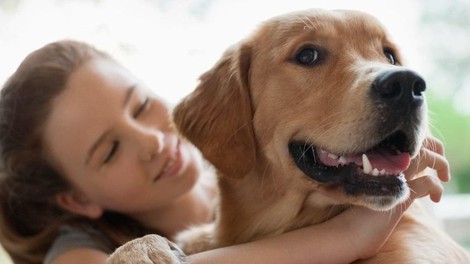 3 zgodbe, ki dokazujejo, da imajo psi večje srce kot marsikateri človek
