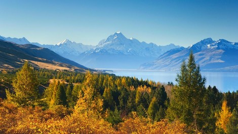 Nova Zelandija ponuja sanjsko službo, vendar se nihče ne prijavi
