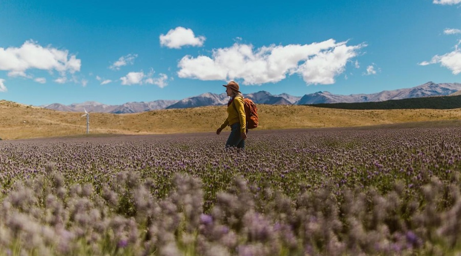 V redu je, če v življenju nimamo VSEH odgovorov (foto: profimedia)