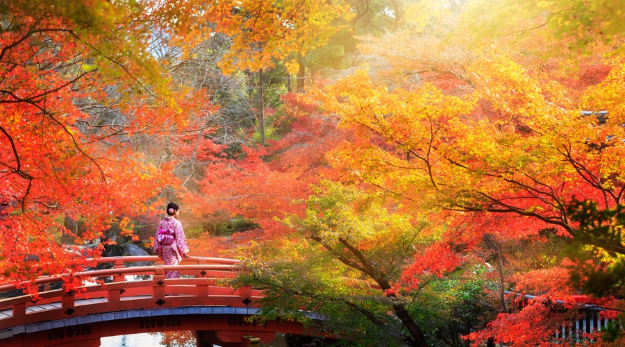 Kitajski horoskop od 31. oktobra do 6. novembra (foto: shutterstock)