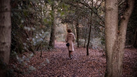 8 temeljev, da se lahko zgodi proces samozdravljenja