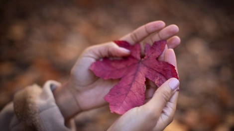 Nikoli se vam ni potrebno opravičevati za vašo žalost
