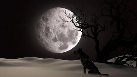 Zadnja POLNA LUNA leta 2022. Kaj nam prinaša?