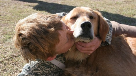 Psička zbežala med ognjemetom. Našli so jo po 7 letih!