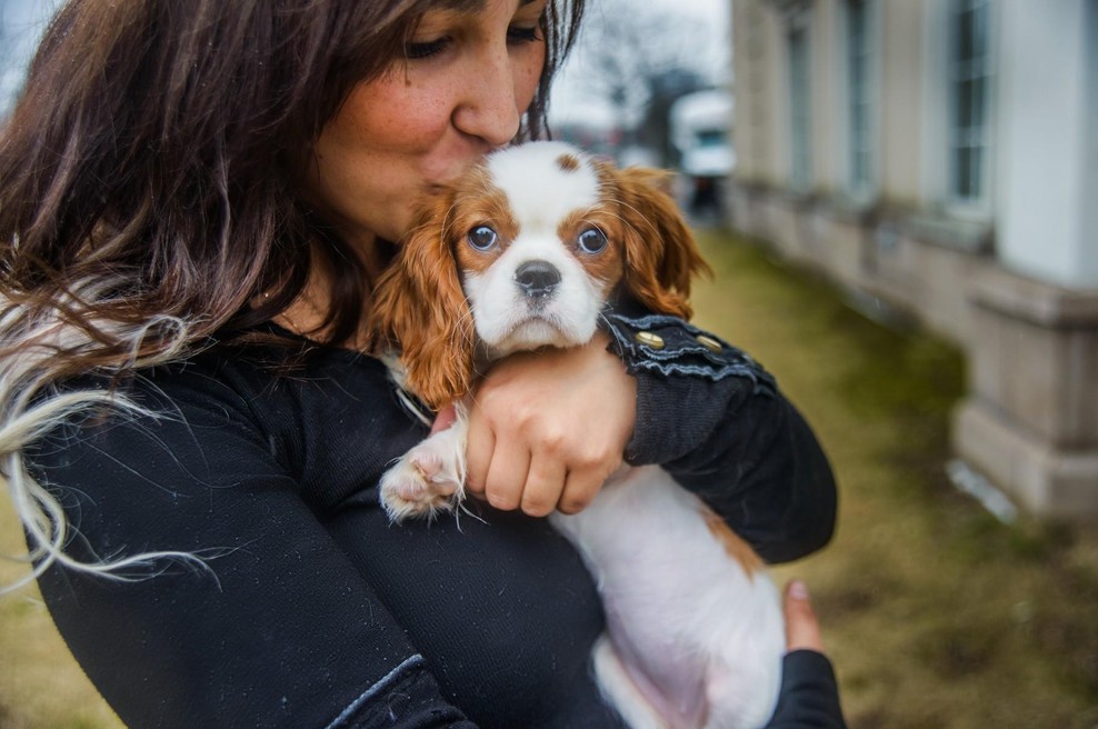 Hišnega ljubljenčka nikoli NE izbirajte na podlagi videza! (foto: Profimedia)
