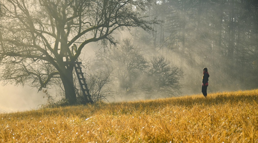 Napoved za ta teden: Čas je, da se soočite sami s sabo (foto: shutterstock)