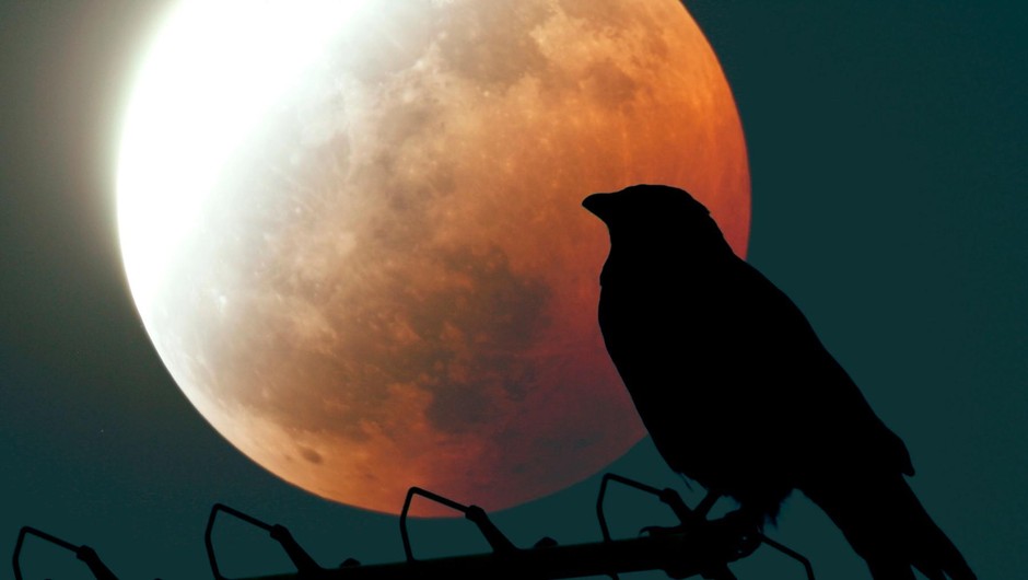 Marčevska VRANJA polna luna že močno vpliva (foto: profimedia)