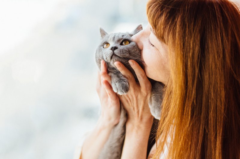 Kako mačka pokaže, da vas ima rada? (foto: shutterstock)