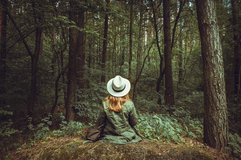 V gozdu lahko okrepimo vez z našo dušo