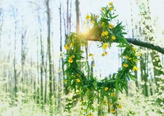 Zeleni Jurij prinaša ozelenitev (naša stara obredja)