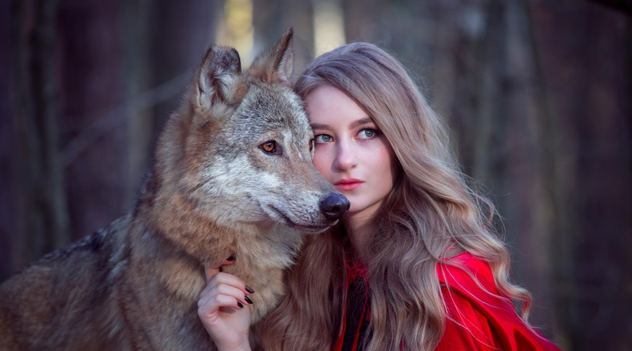 Elli H. Radinger - Ženska, ki nam odkriva modrost volkov (foto: shutterstock)