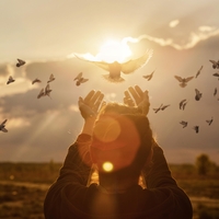 Katera duhovna sporočila nam poskušajo predati ptice?