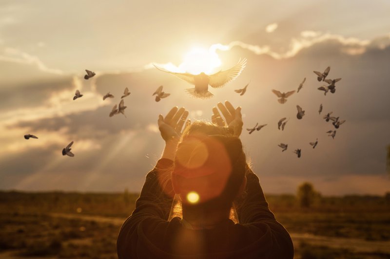 Katera duhovna sporočila nam poskušajo predati ptice? (foto: shutterstock)