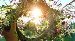 Kaj nam prinaša magija poletnega solsticija?