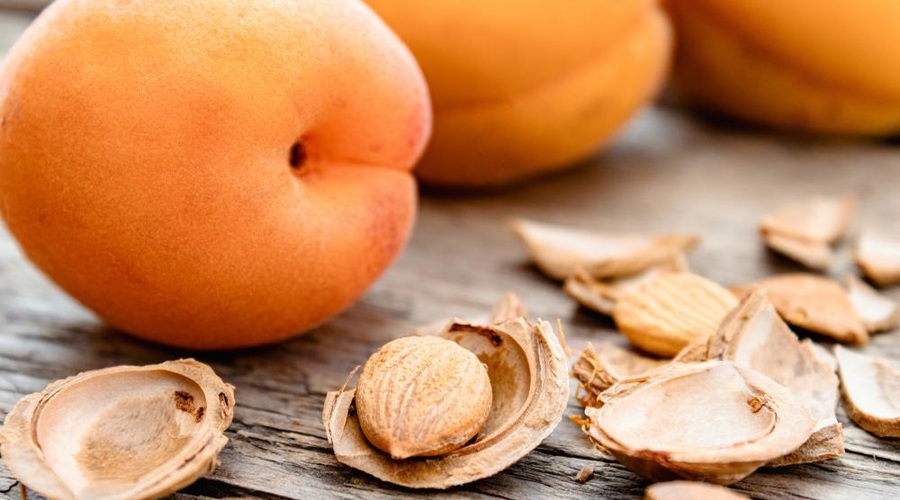 Ne mečite stran mareličnih koščic! Iz njih lahko pripravite tudi TO (foto: shutterstock)