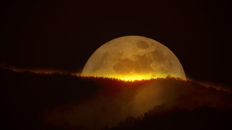 Horoskop: Kdo bo najbolj "prizadet" zaradi tokratne polne lune?