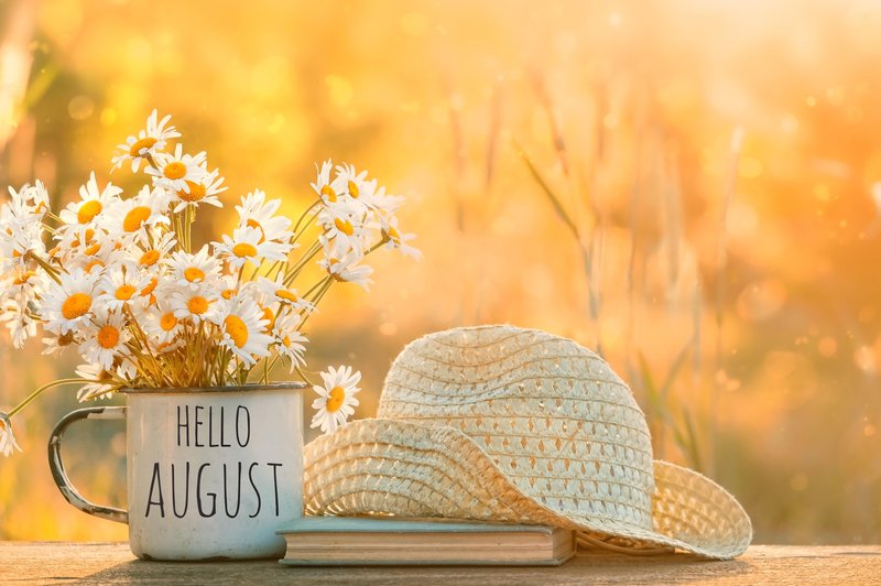 avgust, poletje, rože in knjiga (foto: shutterstock)