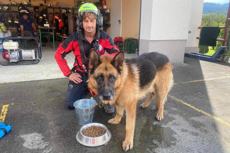 Nemški ovčar Bolt, ki je ostal na poplavljenem območju, je rešen! (foto: Facebook Pasji salon Joy)