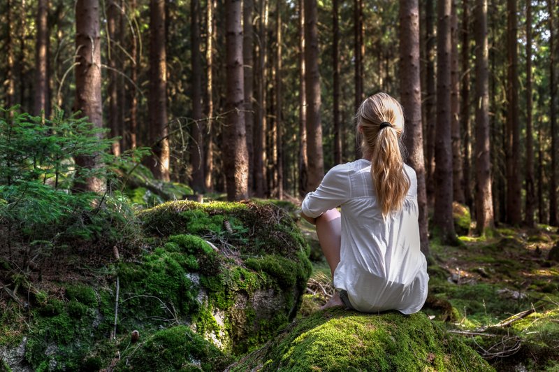 ženska sedi v gozdu in opazuje zdravljenje narave (foto: shutterstock)