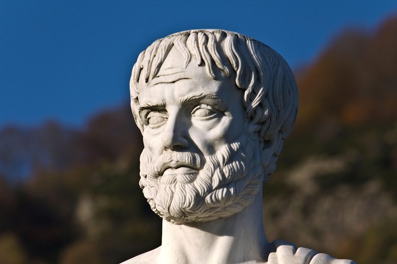 Teh 11 vrlin je po Aristotelu potrebno usvojiti, da bi lahko dobro živeli (foto: Profimedia)