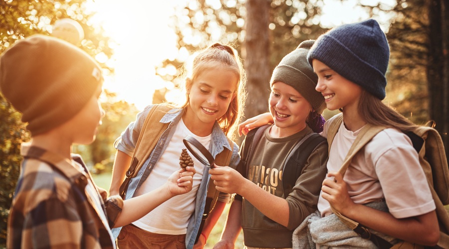 skupina otrok raziskuje v gozdu (foto: shutterstock)