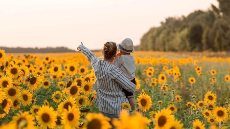 Kupite knjigo in pomagajte Posestvu Sončni raj