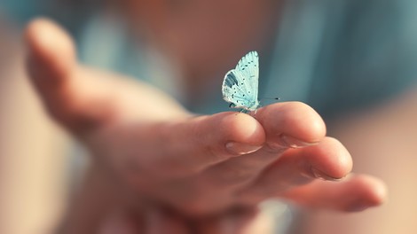 Kaj pomeni, če METULJ pristane na vaši roki? (Duhovna simbolika metuljev)