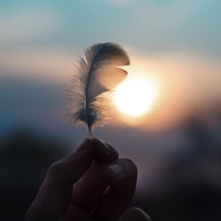 Kaj se dogaja 72 ur pred smrtjo