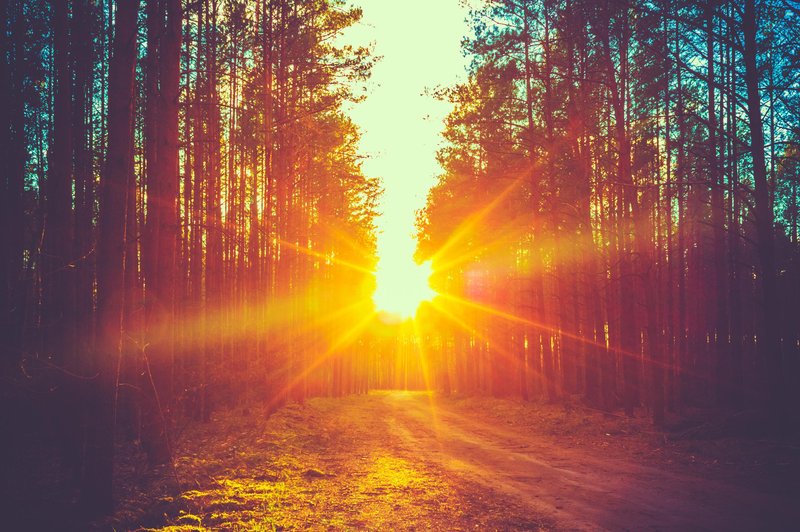 Kako najbolje izkoristiti energijo sonca, ki vlada nedelji? (foto: Shutterstock)