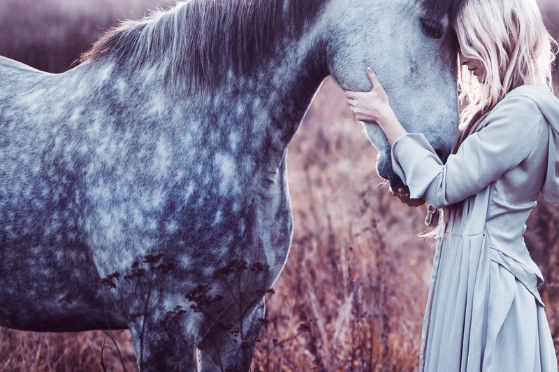 Bližina konjev je zdravilna (foto: Shutterstock)
