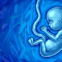 Ko bi le vedeli, da fetus v materinem telesu lahko misli, ljubi in izraža svoje mnenje