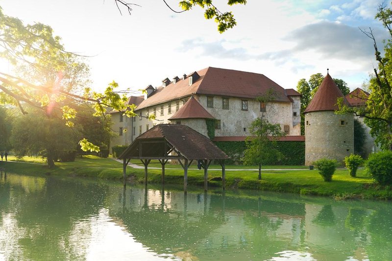 Na katerih gradovih v Sloveniji se lahko poročite? (foto: shutterstock)