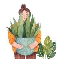 5 sobnih rastlin, ki vas lahko zaščitijo pred virusi