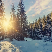 Tedenski horoskop od 15. do 21. decembra 2025