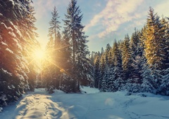 Tedenski horoskop od 15. do 21. decembra 2025