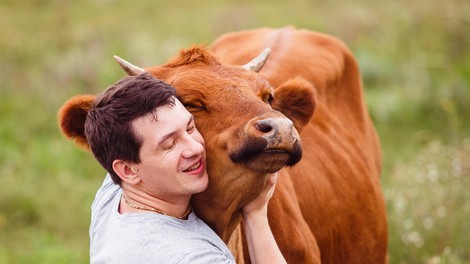 Objemanje krav: nov terapevtski pristop, ki prinaša številne koristi