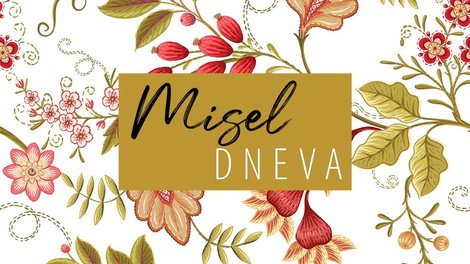 misel dneva