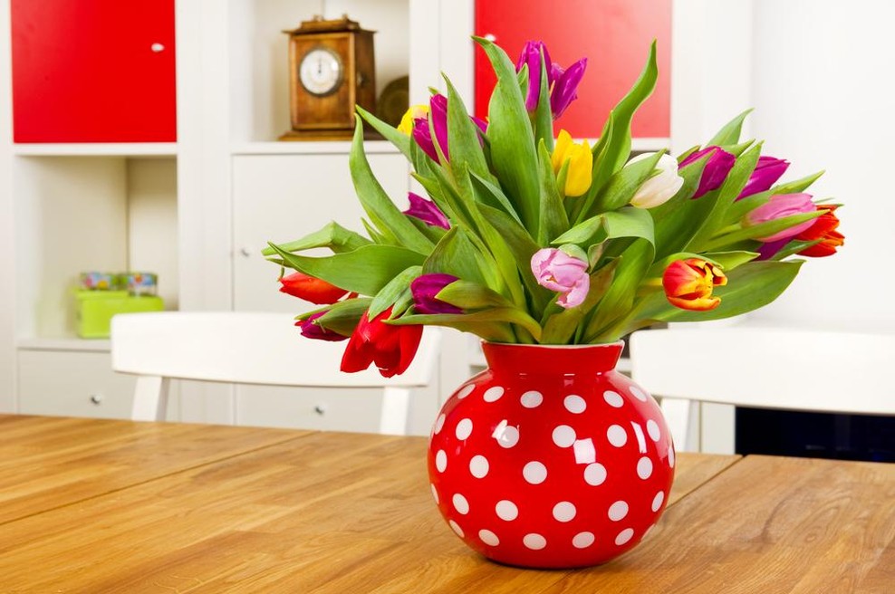 Kakšno energijo prinesejo TULIPANI v prostor? (foto: shutterstock)