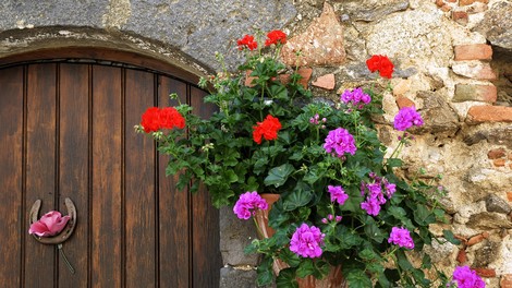 Zakaj imajo stare slovenske hiše pogosto obešeno podkev na vratih?