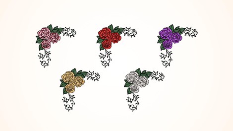 TEST: Kaj vaša najljubša barva vrtnic pove o vas?